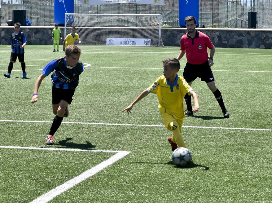 Partidos del Torneo Alevín en Maspalomas