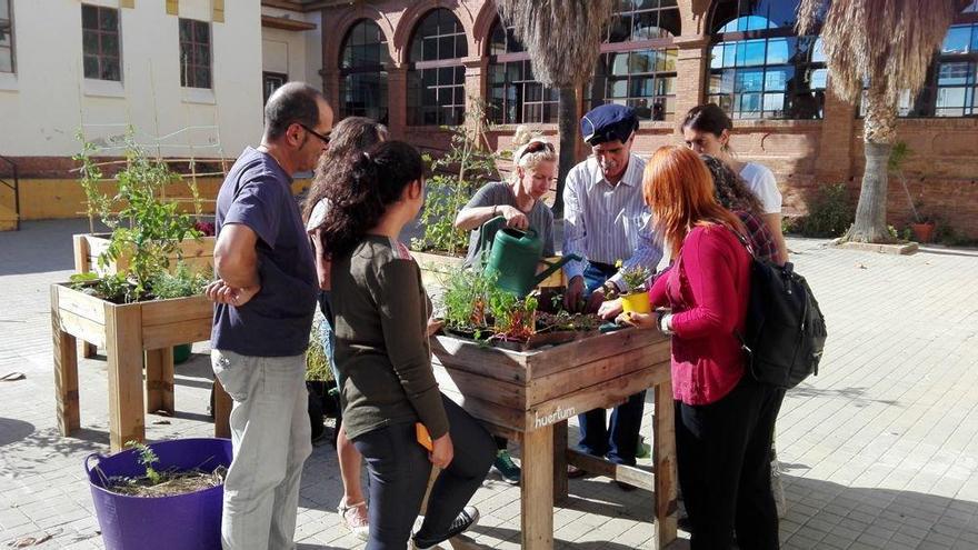 El curso dará las claves para sacar partido a estos huertos urbanos.