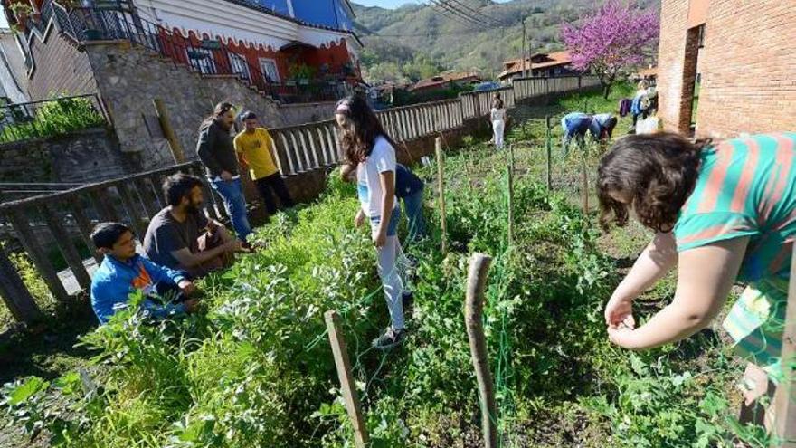 Alumnos cuidando el huerto del colegio de Villapendi.