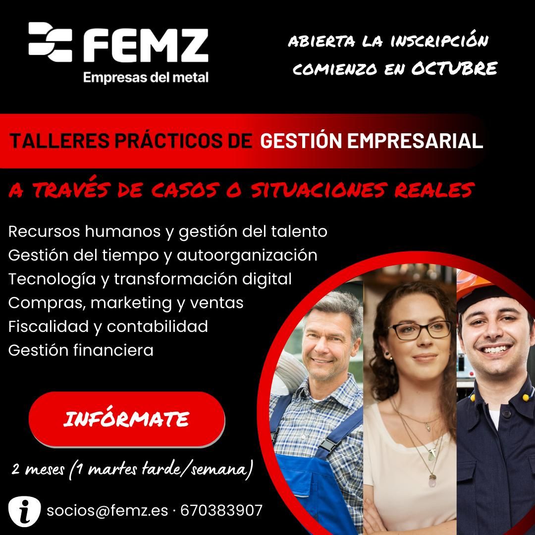 Cartel del taller organizado por FEMZ.