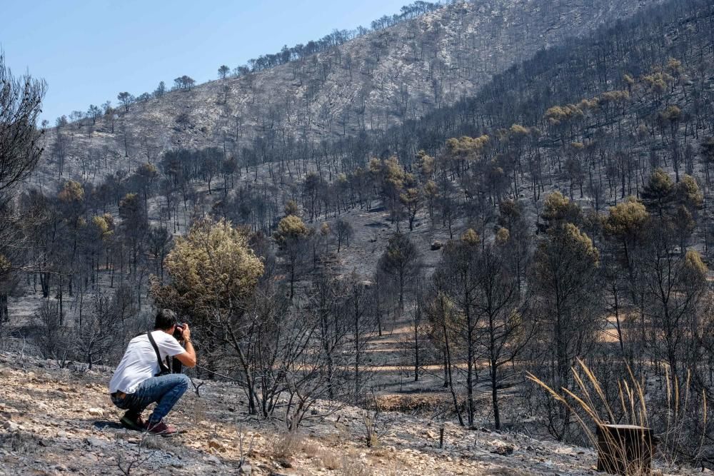 Así ha quedado la zona tras el incendio.