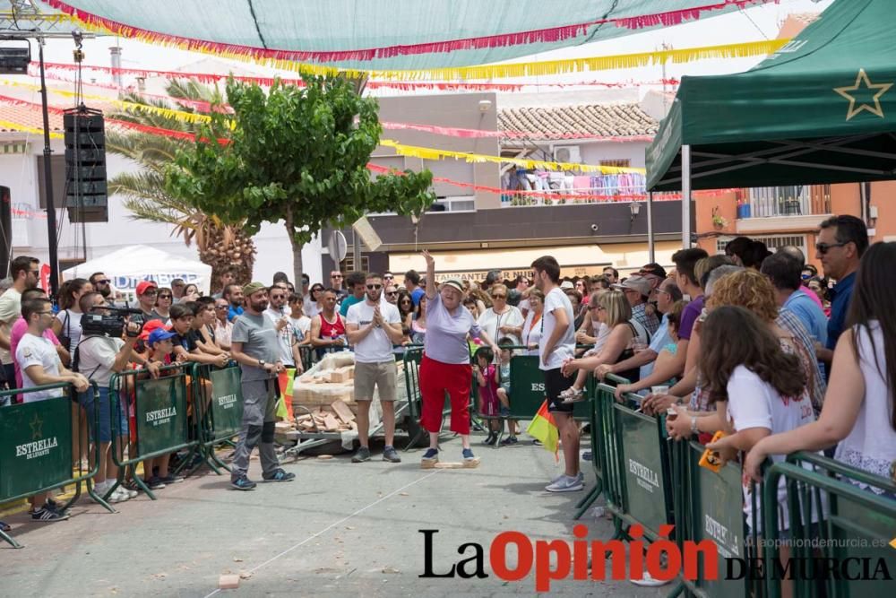 Campeonato del mundo de lanzamiento de 'Ladrillo d