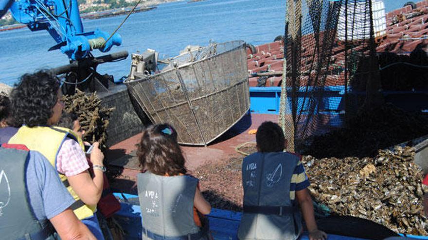 Varios turistas observan en Moaña cómo trabajan los barcos bateeiros.  // Carmen Giménez