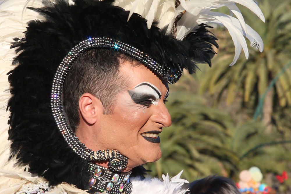 Carnaval de Málaga | Domingo de Piñata