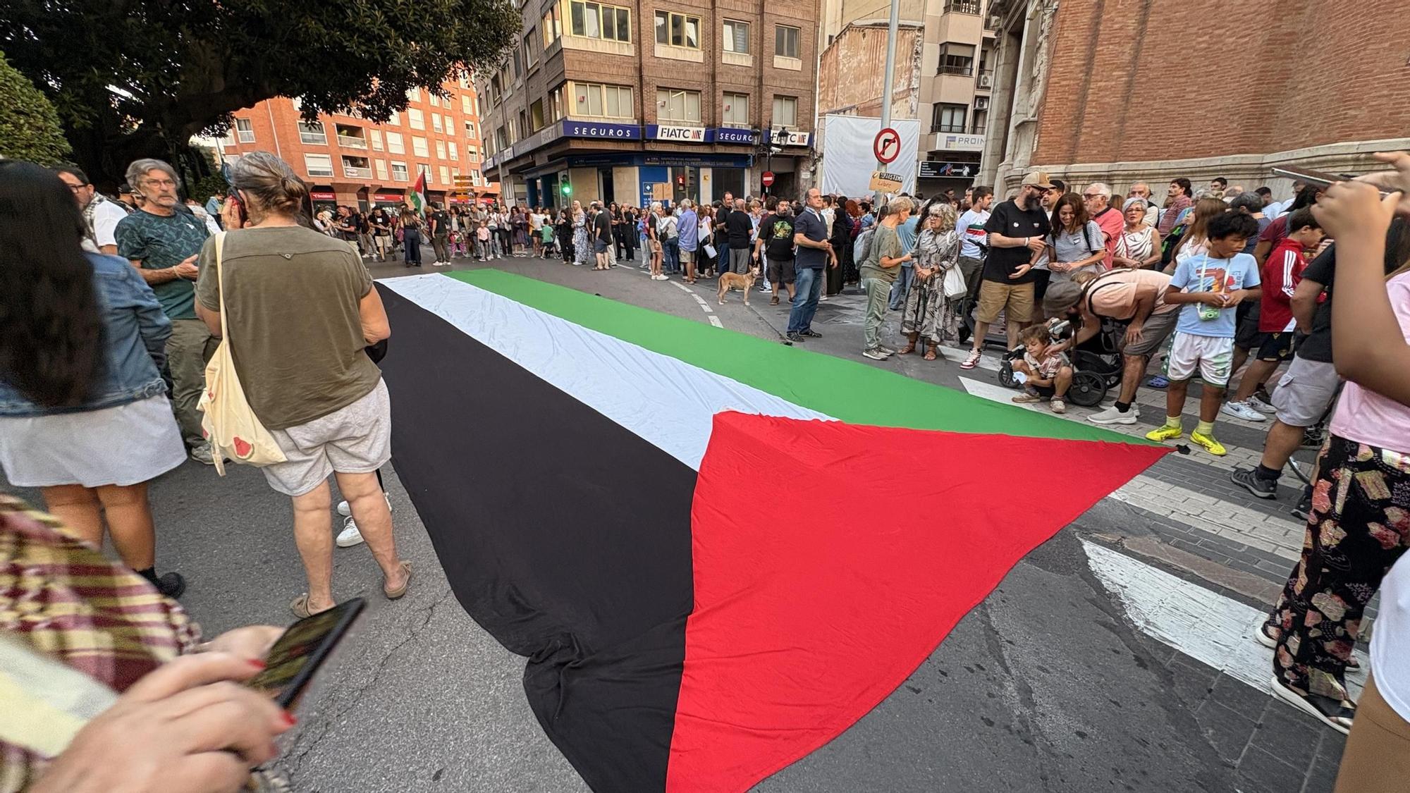 Galería de imágenes: Castellón sale a la calle en defensa de Palestina