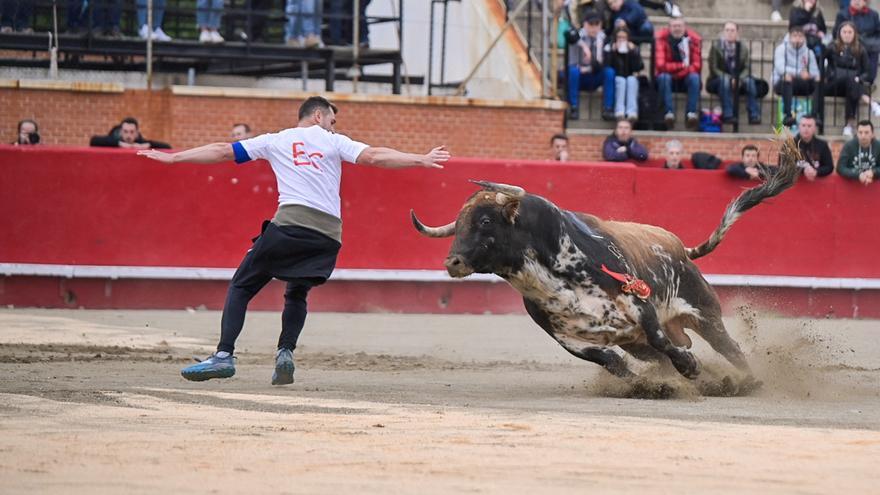 Castellón se llena de toros por Pascua y Sant Vicent: los 13 pueblos que hacen actos taurinos los próximos días