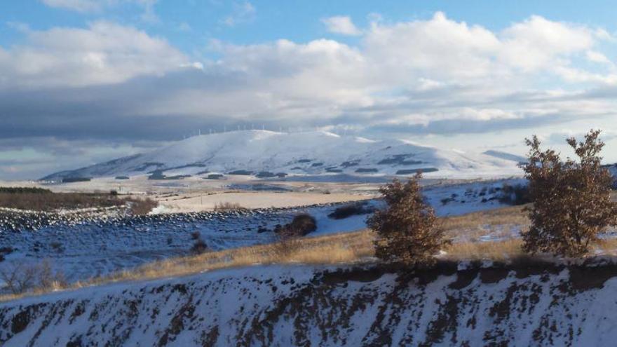 Alerta en Aragón por una macrogranja vacuna en la frontera con Soria