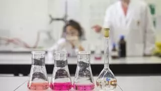 Salud y movilidad, las apuestas formativas para el próximo curso