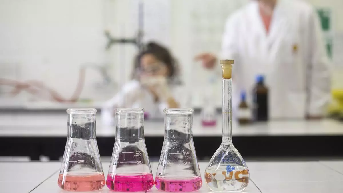 Salud y movilidad, las apuestas formativas para el próximo curso