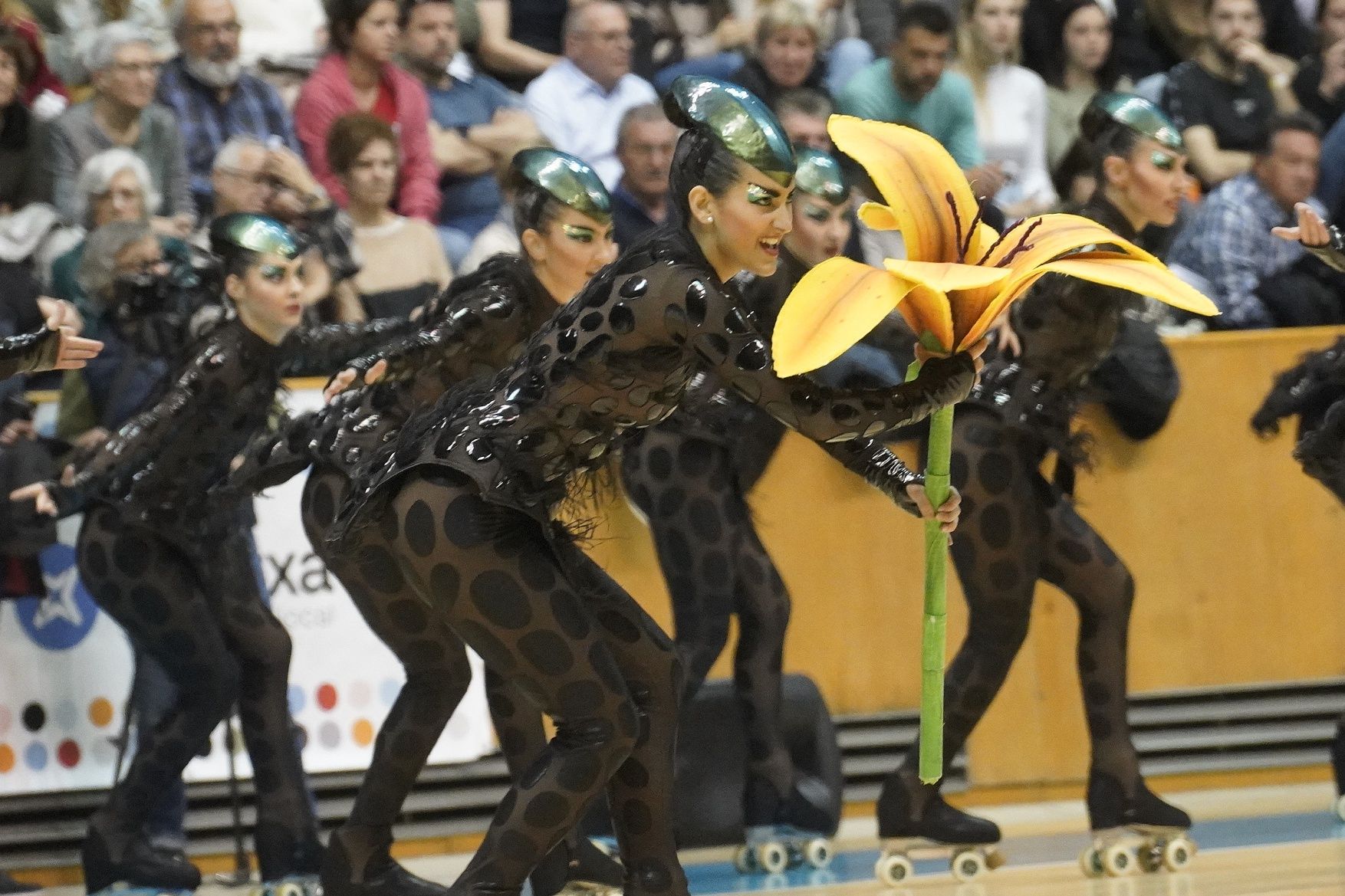 Totes les imatges del campionat de patinatge