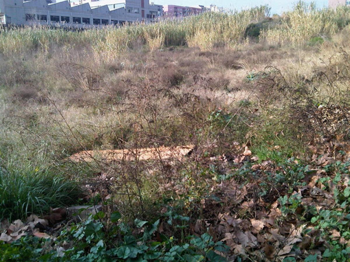 Així està el que ha de ser una escola.Aquest és l’estat actual del que havia de ser l’escola Marta Mata de Mataró, un centre públic d’educació infantil i primària. El projecte està a l’espera de posar-se en marxa al solar de la imatge, situat al barri de Cirera. Mentrestant, la runa i la falta de neteja dominen el paisatge, i les rates són freqüents. L’ensenyament ens preocupa a tots, ja que és una cosa primordial, però les obres d’aquest col·legi estan per començar.