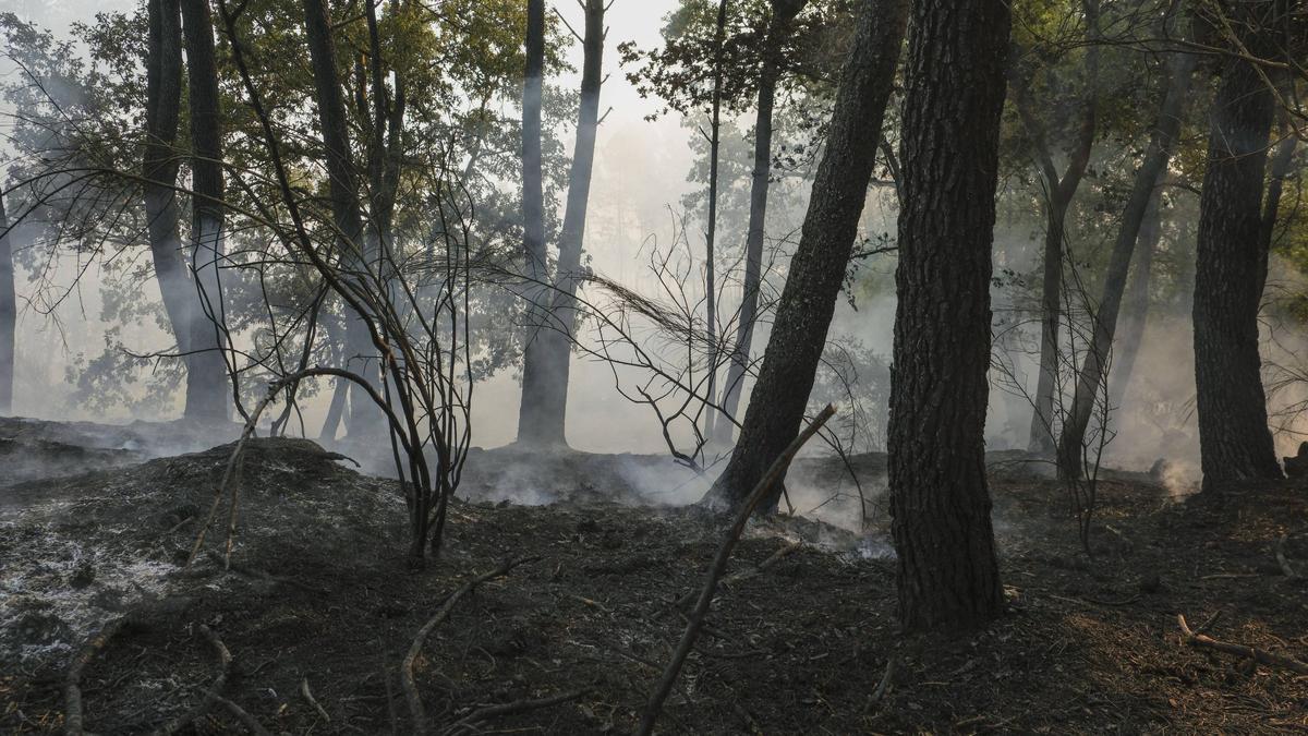 Incendio forestal este verano en San Cristovo de Cea.