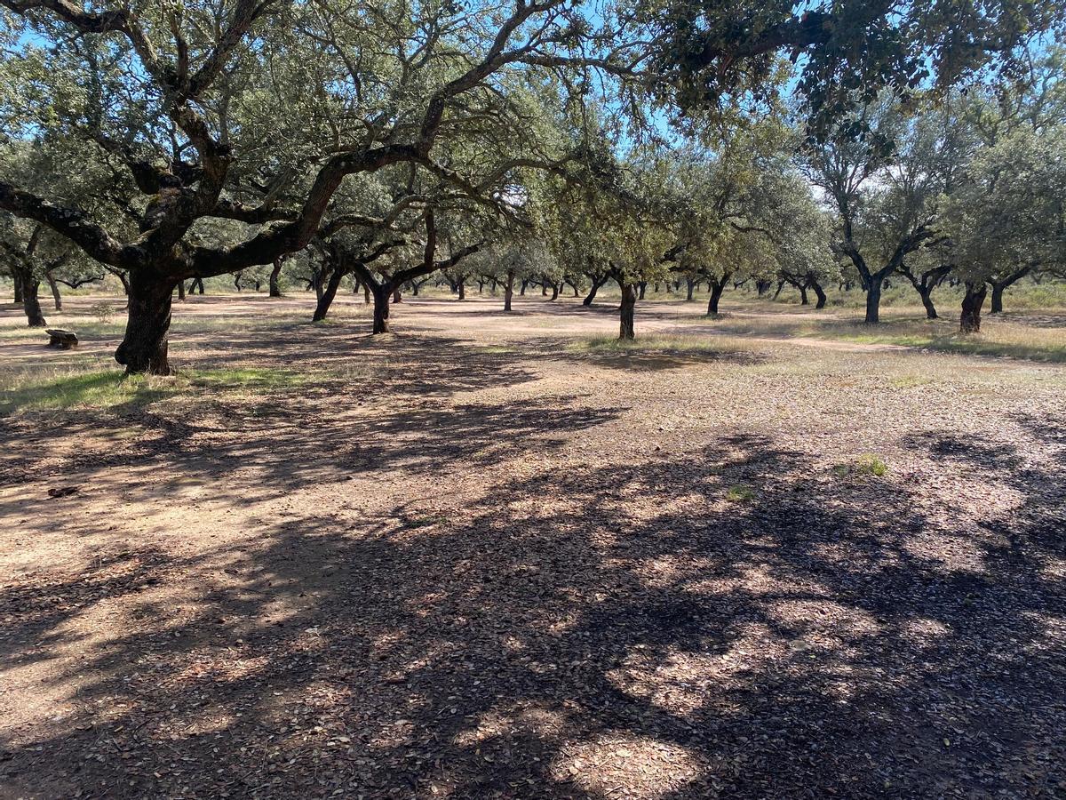 Fotografía del parque periurbano de Tres Arroyos en Badajoz.