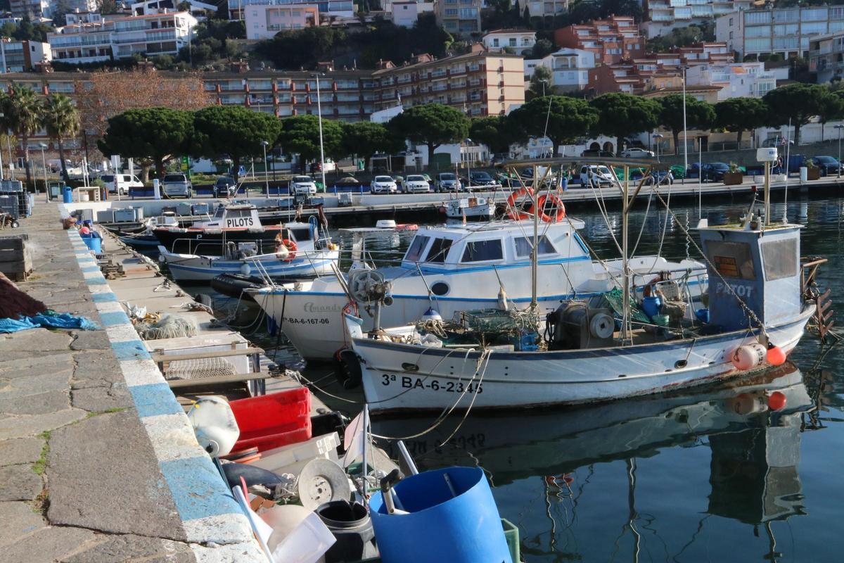 Barques amarrades al port de Roses, en una imatge d'arxiu.
