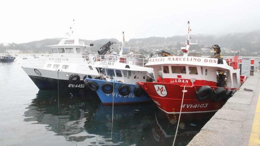 Balandros, ayer, amarrados en el muelle de Aldán. // Santos Álvarez