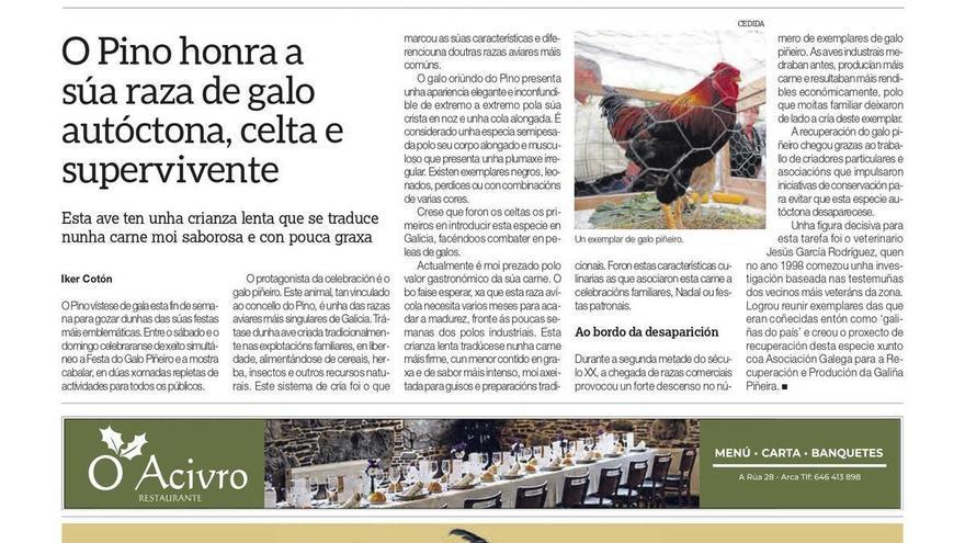 Festa do Galo Piñeiro 2026