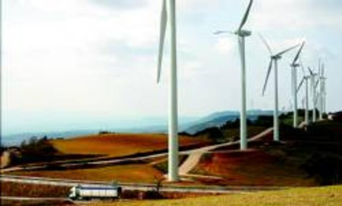 Els aerogeneradors de la Serra del Tallat, el dia de la inauguració oficial, el 15 de febrer del 2008.