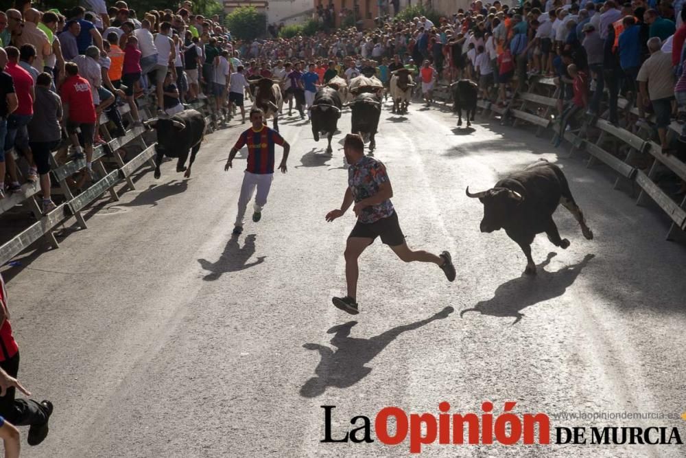 Segundo encierro de Calasparra