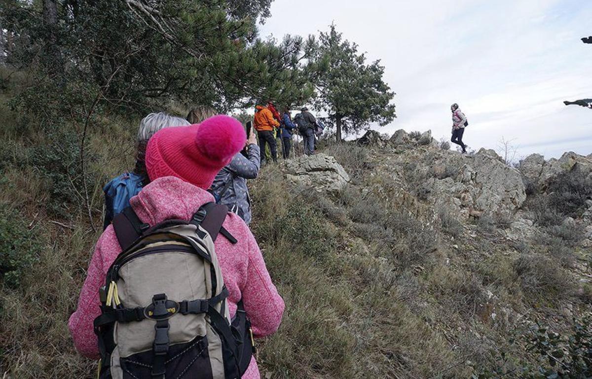 En total, los participante recorrieron 11 kilómetros.