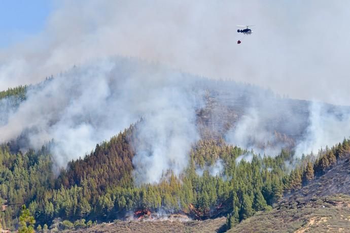 10-08-2019 ARTENARA. Incendio en la cumbre de Gran Canaria  | 10/08/2019 | Fotógrafo: Andrés Cruz