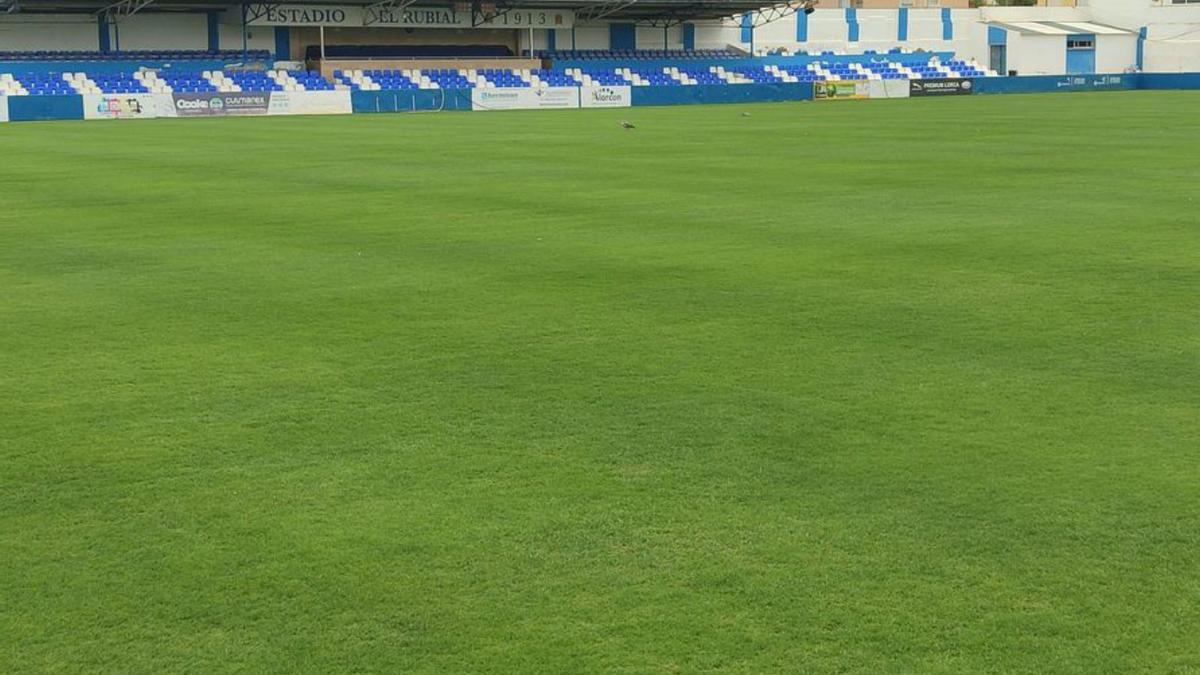 Aspecto del césped del Centenario El Rubial. | JAIME ZARAGOZA