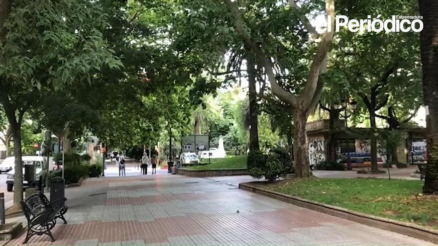 Vídeo | Un paseo por Cánovas