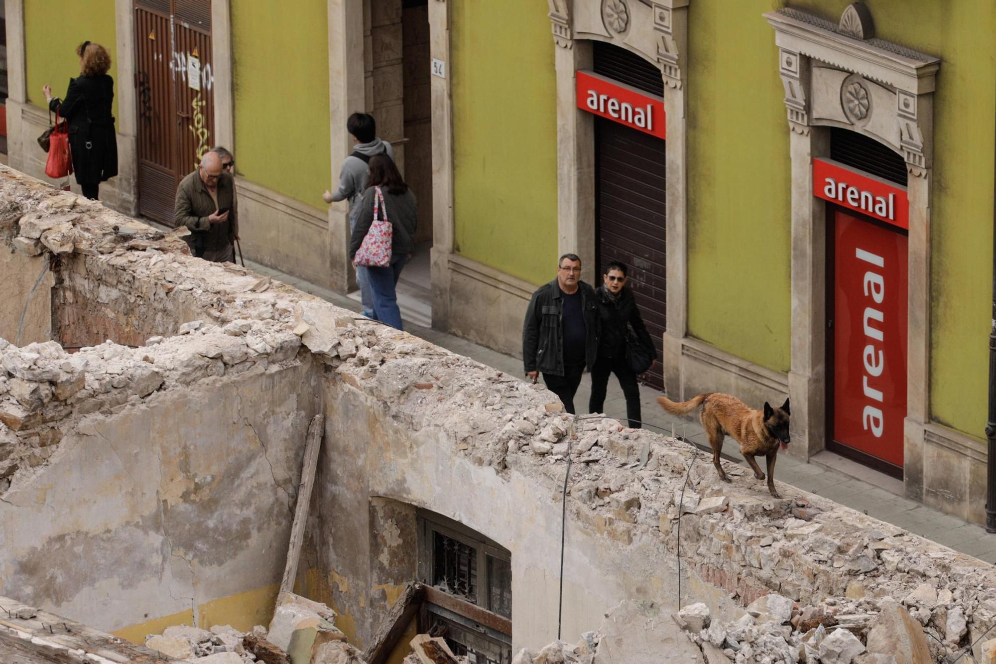 El entrenamiento de la Unidad Canina de Rescate del Principado en Gijón, en imágenes