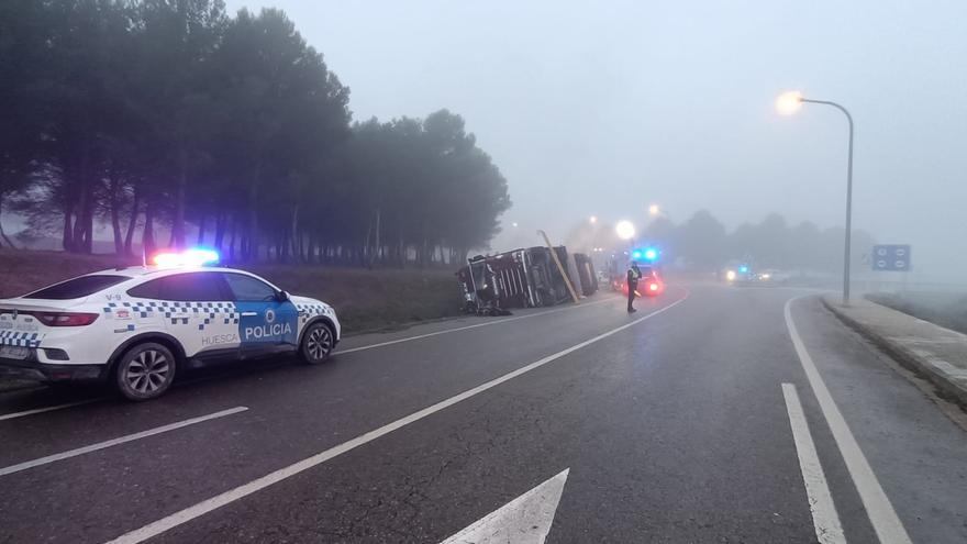 Cientos de lechones muertos tras volcar un camión en Huesca