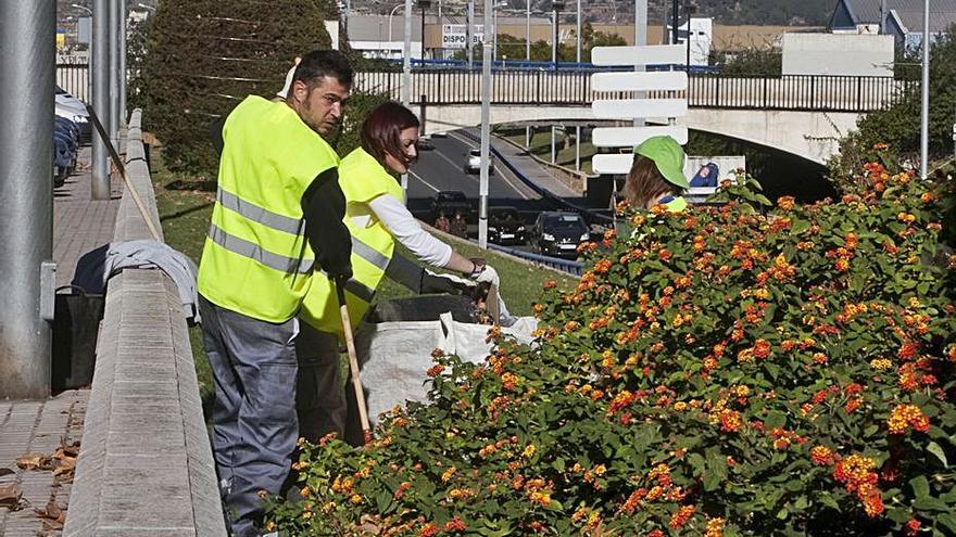 Empleados del taller de jardinería en Xàtiva, hace meses. | PERALES IBORRA