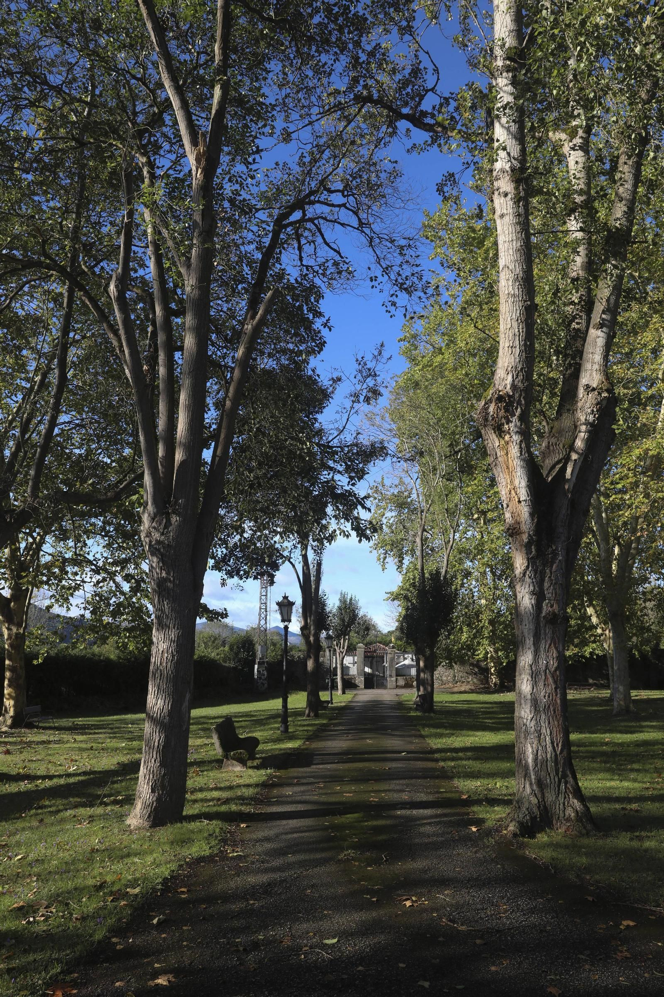 Oviedo, parroquia a parroquia: Sograndio