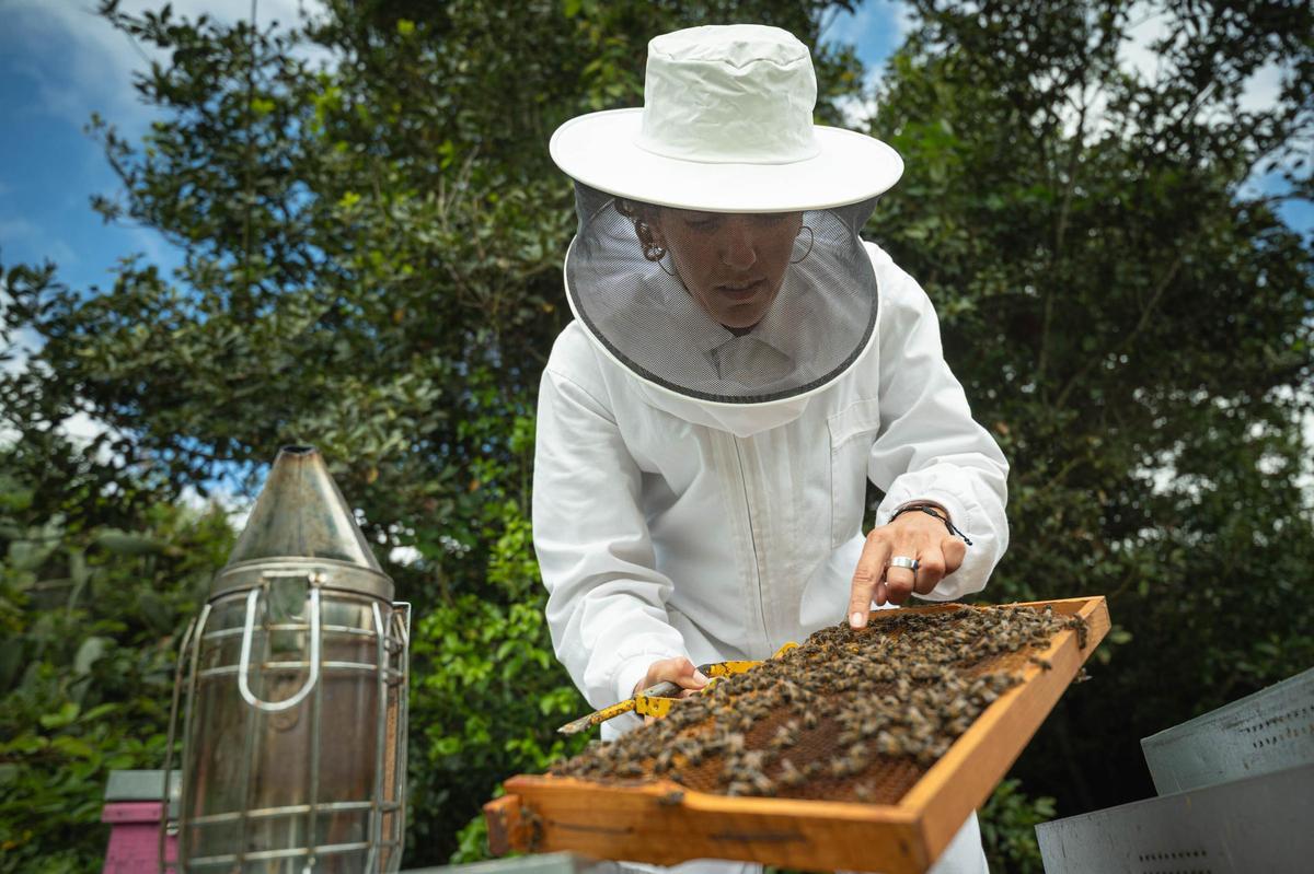 Natalia Díaz enseña su finca ecológica Ecoalpispa por el Día Mundial de las Abejas