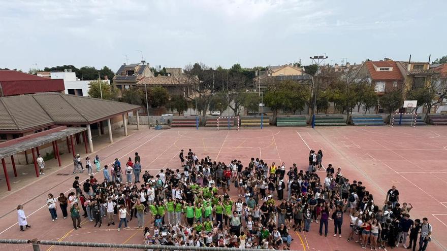 Centenares de escolares de la comarca participan en la movilización educativa en defensa de la huerta en Picanya