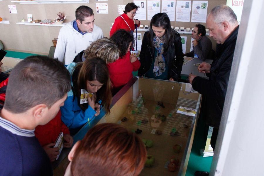 Ecocultura Zamora 2016