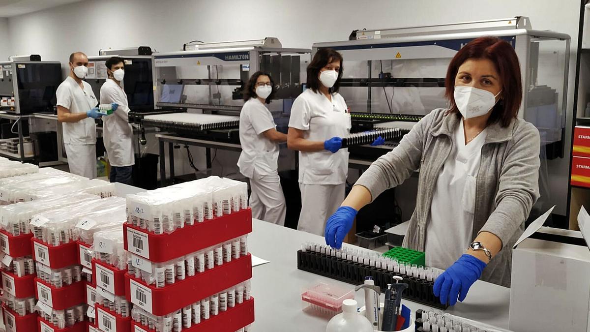 Miles de botes con muestras de saliva se apilan en el laboratorio ‘pooling’ que puede procesar 12.000 al día. Entre el personal, Cabrera es el segundo por la izda.