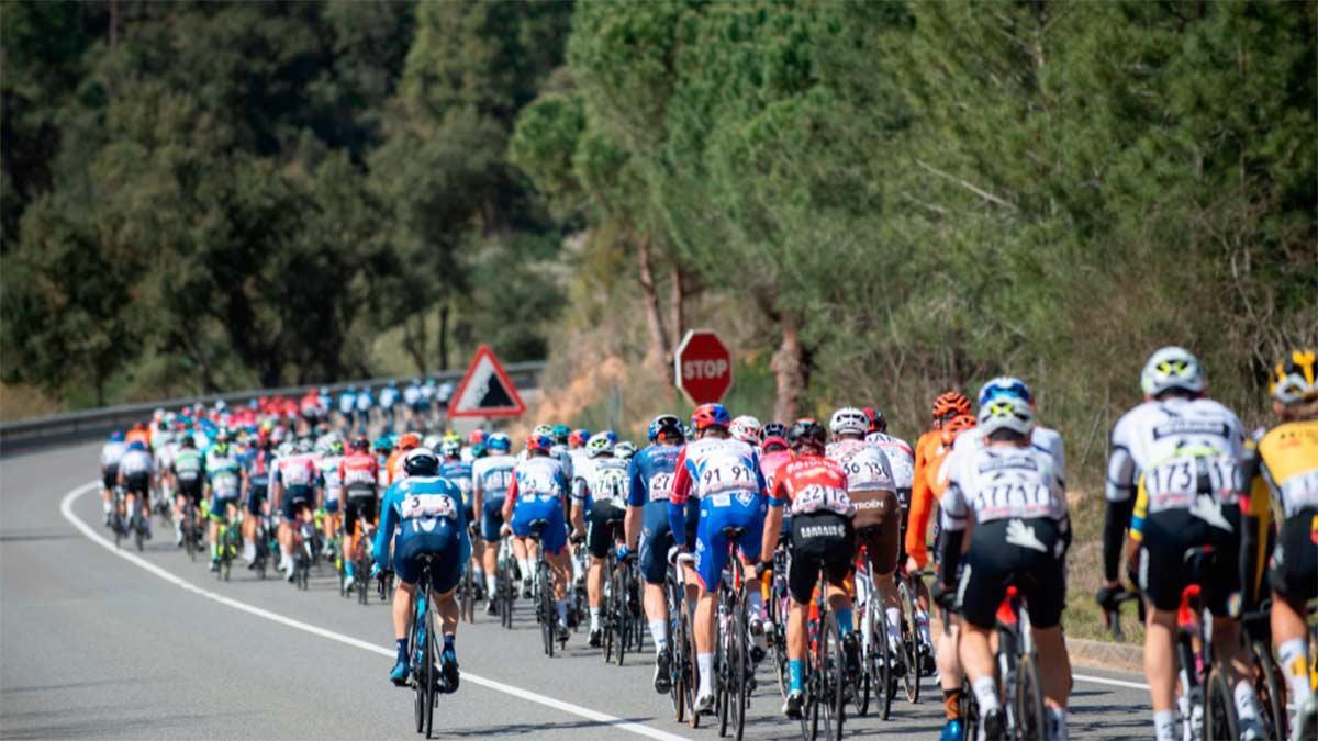 El pelotón de la Volta, camino de Calella