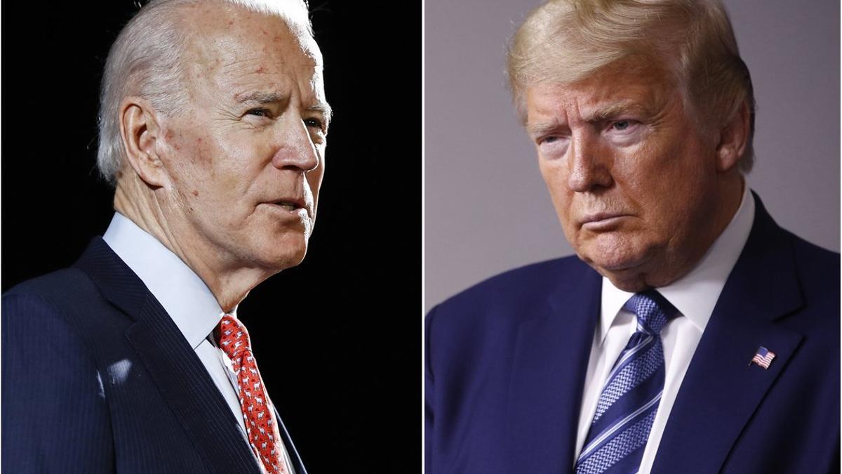 trump biden