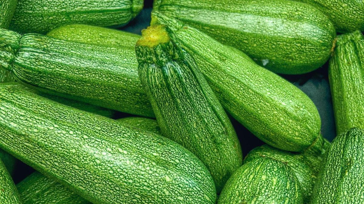 Recetas con calabacín.