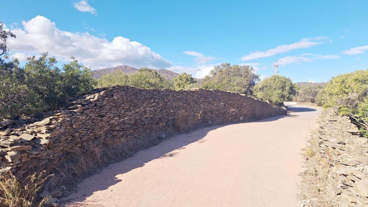 Els ecologistes alerten que aquest mur desapareix si s'aprova el POUM perquè volen fer carrers de 6 metres