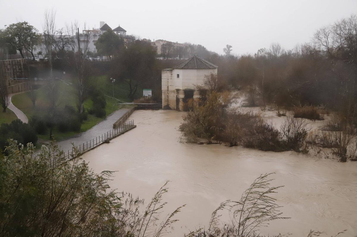 Situación del Guadalquivir a su paso por Córdoba, este miércoles.