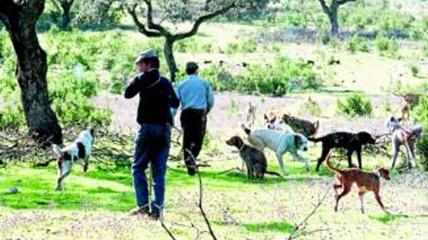 Más de 3.600 cazadores optan esta mañana a 372 permisos