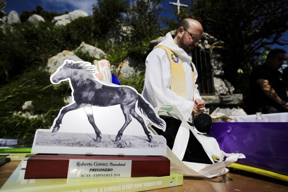 Fiesta del Asturcón en el Sueve