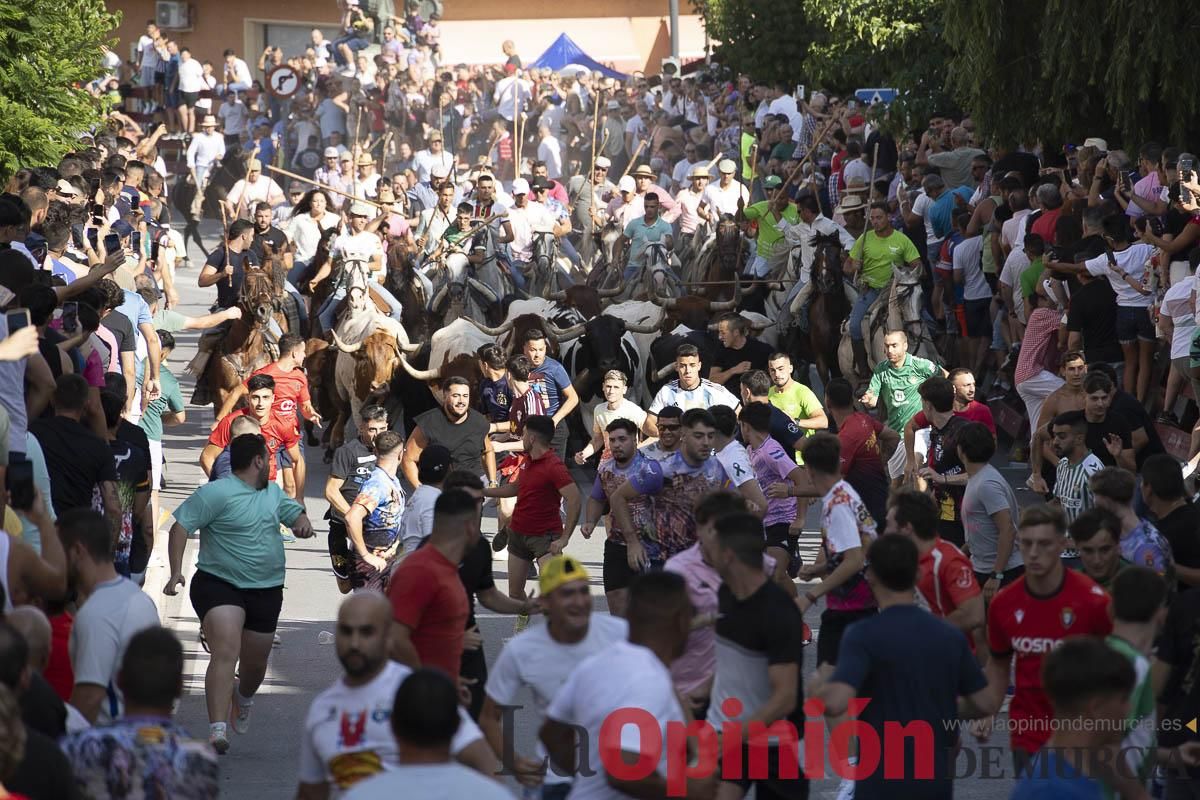 El segundo encierro de las Fiestas de Moratalla se salda con un herido
