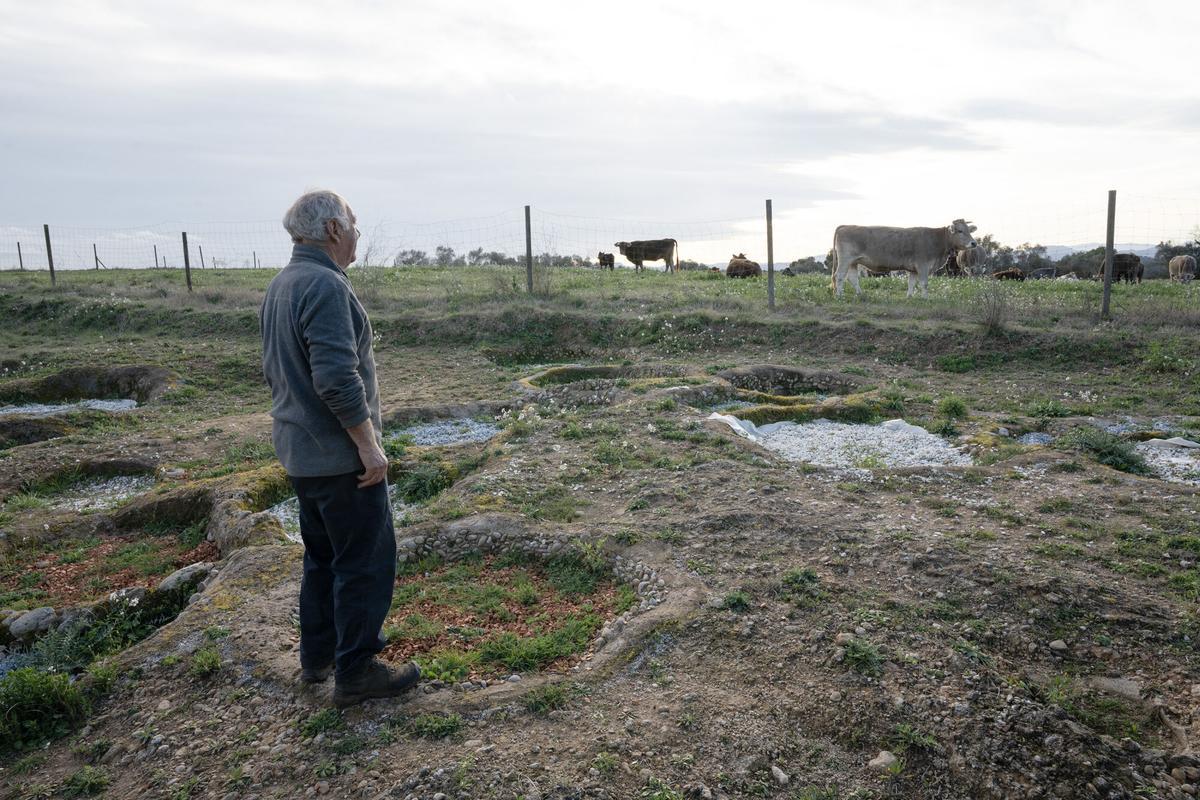 NARCÍS LLAVANERA PROPIETARI DEL MAS CASTELLAR ON HI HA EL JACIMENT IBÈRIC DE PONTÓS FEBRER 2026