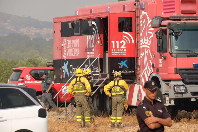 Declarado un incendio en una zona de barranco de Beneixama