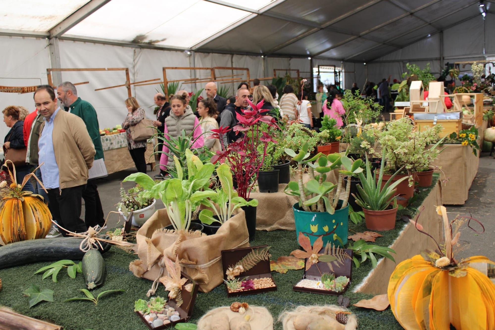 Sama celebra el III Certamen de la Huerta "Llangréu Natural"