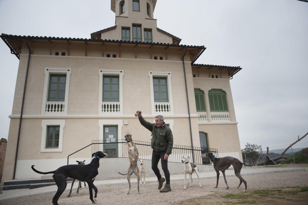 Cavalls i gossos a la torre Lluvià