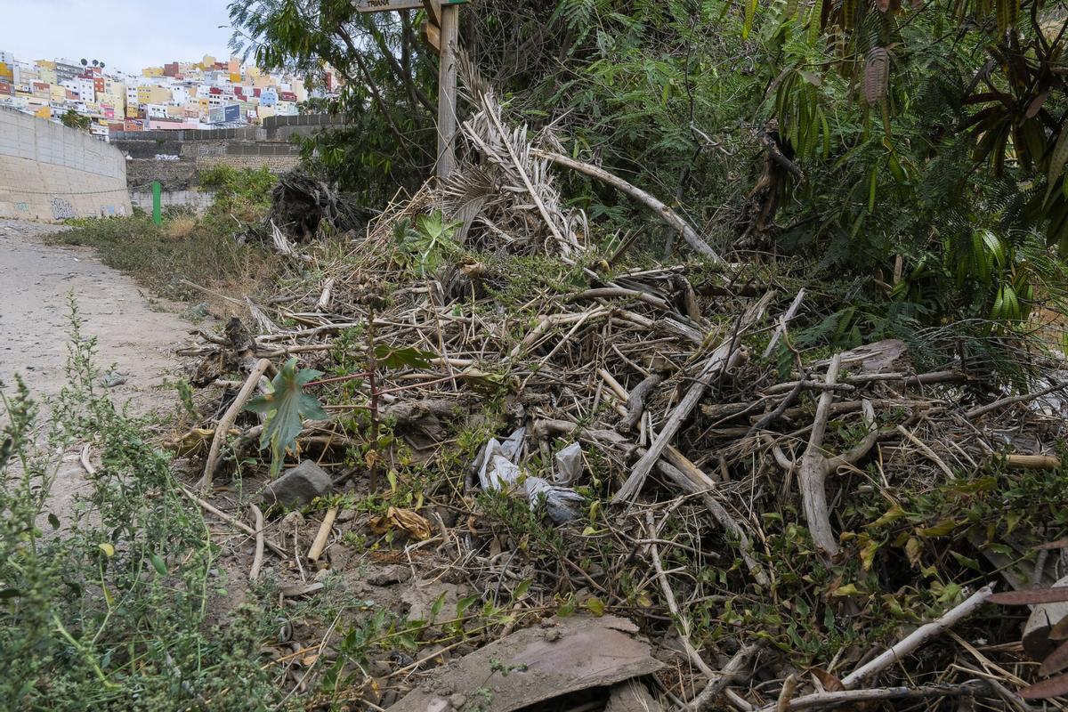 Destrozos de la borrasca Therese en el Guiniguada, cuatro meses después