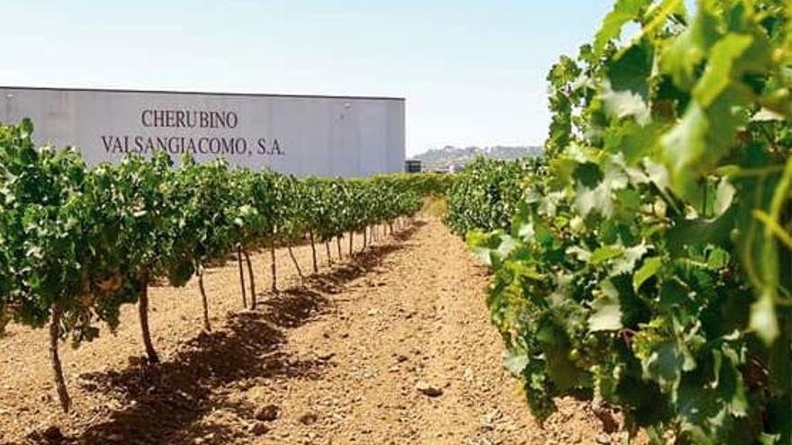 Imagen de las instalaciones de las Bodegas Valsangiacomo en Chiva.