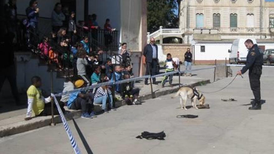 Demostración de habilidades caninas