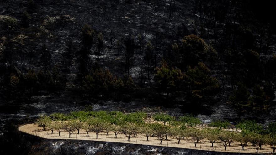 El día después del incendio en Andilla y Osset.